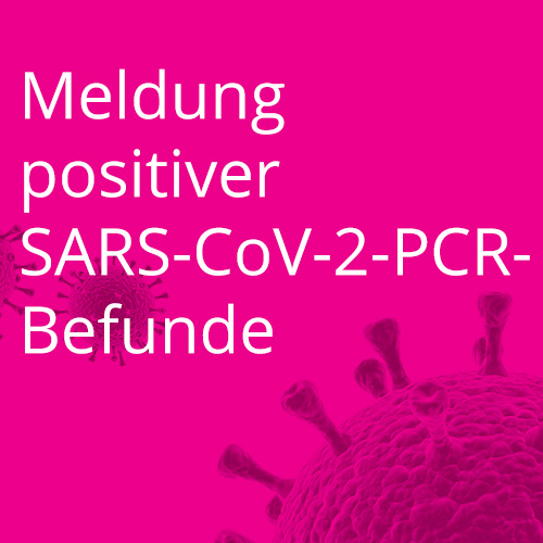 Meldung positiver SARS-CoV-2-PCR-Befunde