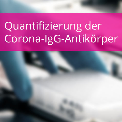 Quantifizierung der Corona-IgG-Antikörper bezogen auf den WHO-Standard