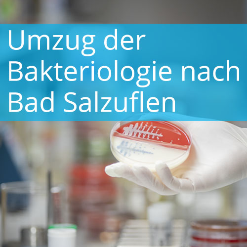 Umzug der Bakteriologie nach Bad Salzuflen
