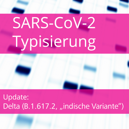Wir führen die Typisierung von SARS-CoV-2-Varianten durch