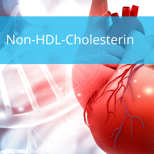 Non-HDL-Cholesterin – Abschätzung des individuellen kardiovaskulären Risikos