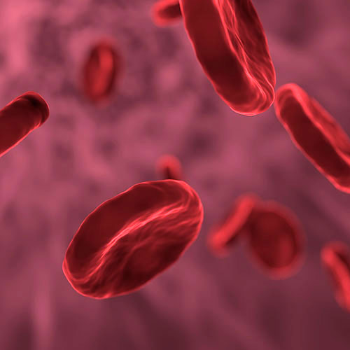 Changes to the lymphocyte differentiation